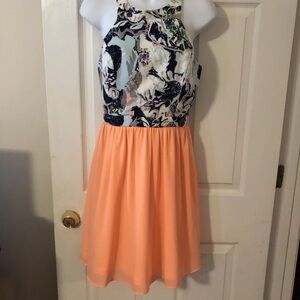 Jealous Tomato Floral Top with Peach Skirt Dress
